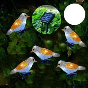 SM21700 5pcs Solar Robin Lights