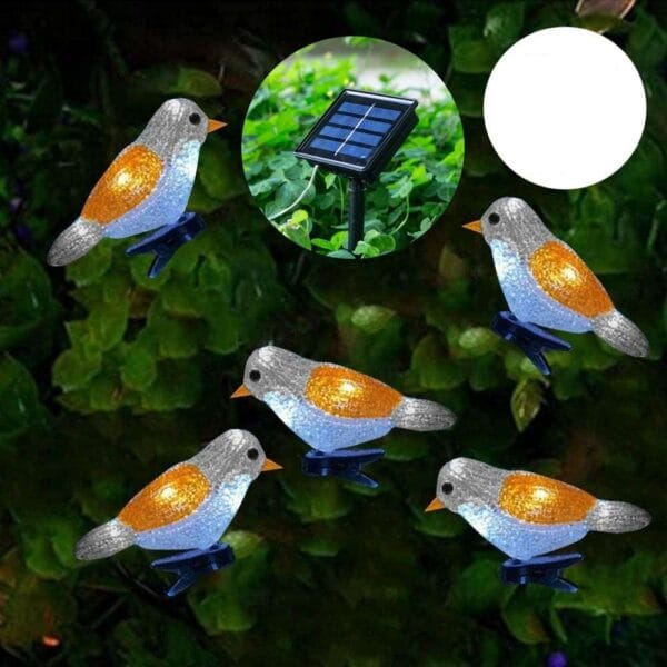 SM21700 5pcs Solar Robin Lights