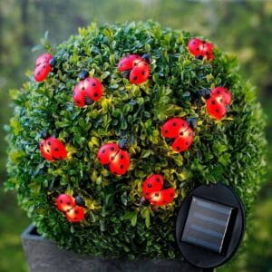 SM24697 10LED Ladybird Solar String Light