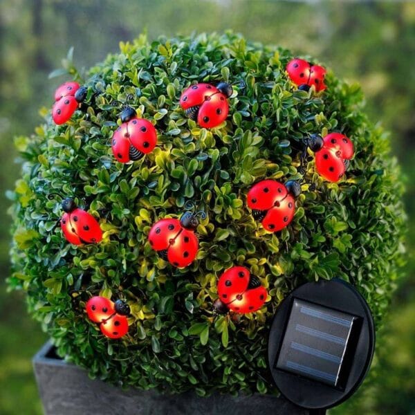 SM24697 10LED Ladybird Solar String Light