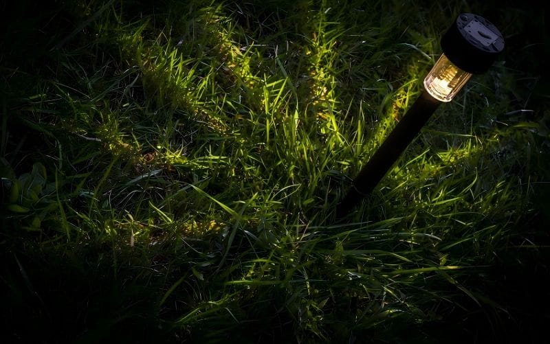 Testing Solar Light Sample Outdoors