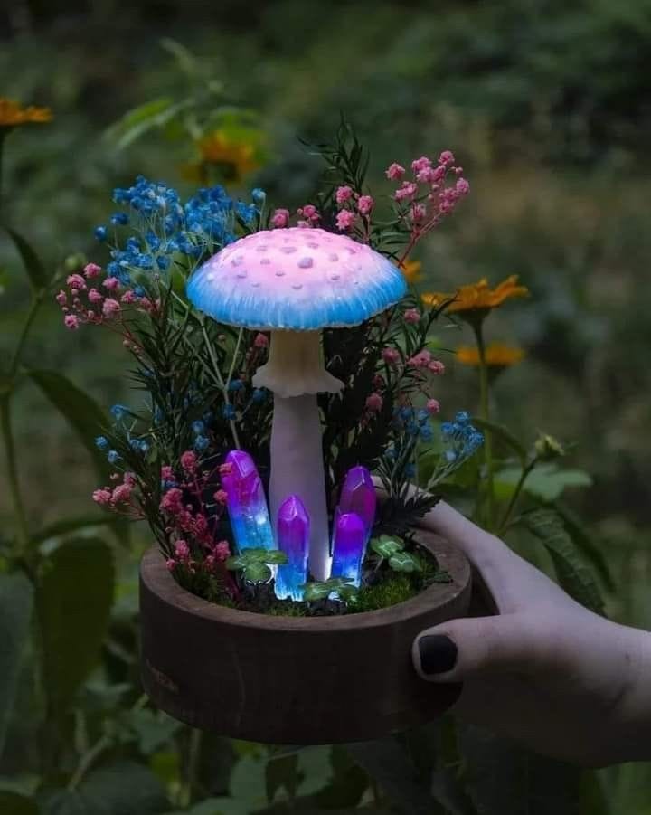 lighting mushroom for Planters and Raised Beds