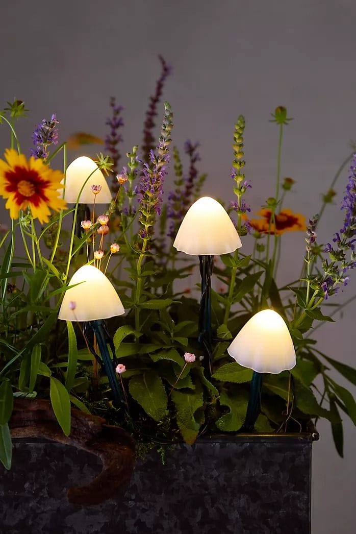 lighting mushroom Flowerbeds and Bushes