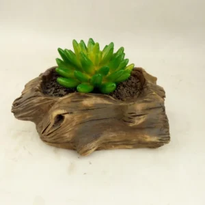 SM221193 Succulent Solar Resin Statue Freestanding Light
