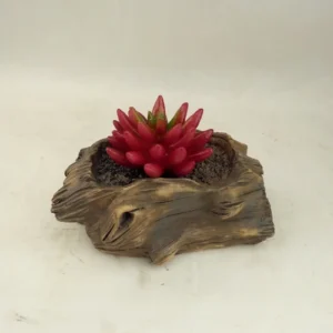 SM221193 Succulent Solar Resin Statue Freestanding Light_3
