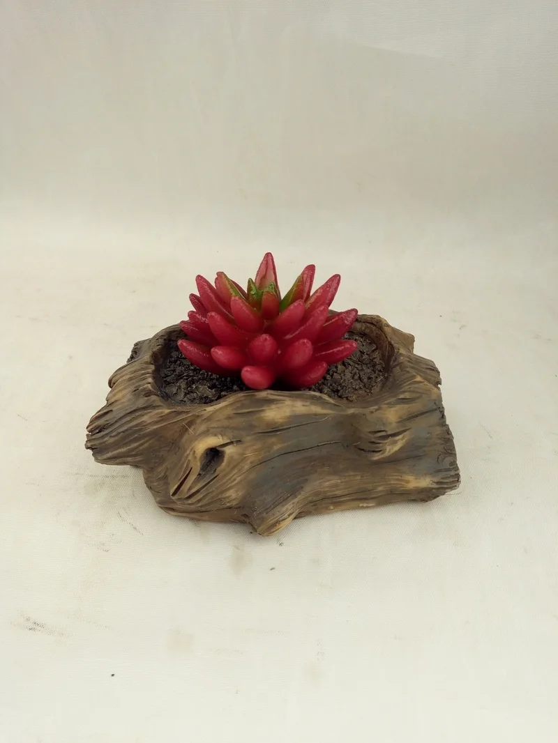 SM221193 Succulent Solar Resin Statue Freestanding Light_3