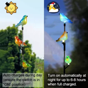 SM22851 Multi-Color Plastic PS Funny Birds Animal Solar Stake Light_2