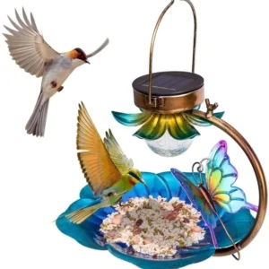 SM25261 Metal Iron Solar Bird Feeder Tabletop Lamp for Animals_1