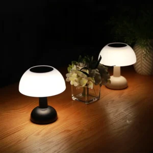 SM25762 ABS Plastic Solar Table Lamp for Tabletop Lighting_2