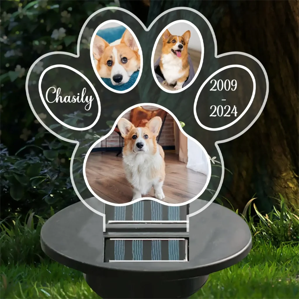 paw print plaque solar lights for pet memorial