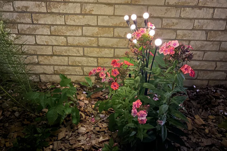 solar garden light applied besides flower bed