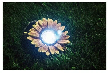 06 odm sunflower solar lights 1