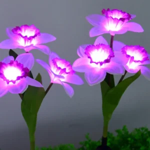 Premium-betriebene Narzissen-Erdspießleuchten im Großhandel