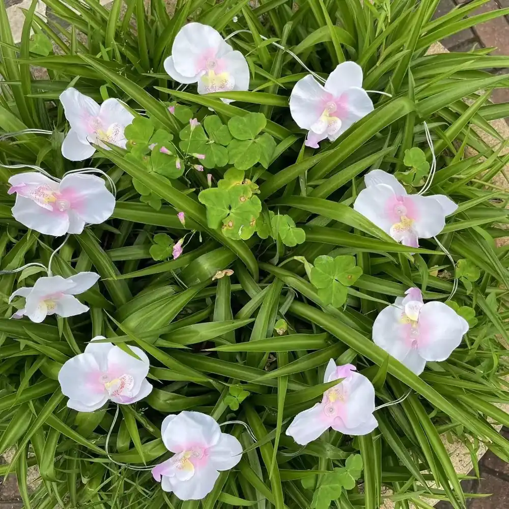 14 trade solar flower string lights