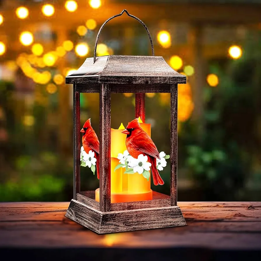 03 b2b cardinal solar lights