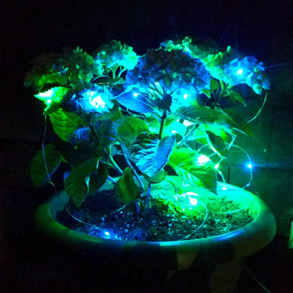 04 Custom Fairy Solar Lights