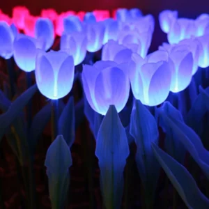04 Custom Tulip Solar Lights