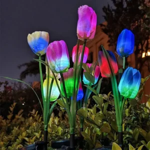05 Oem Tulip Solar Lights