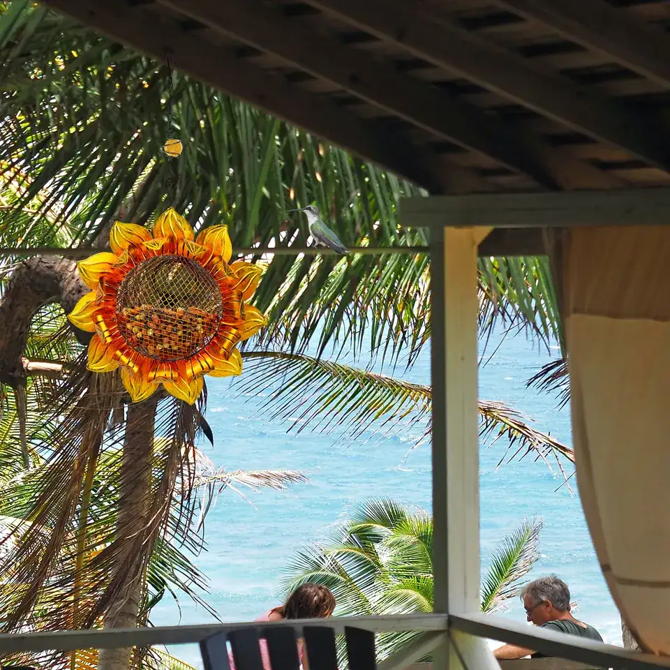 07 factory bird feeder solar lights