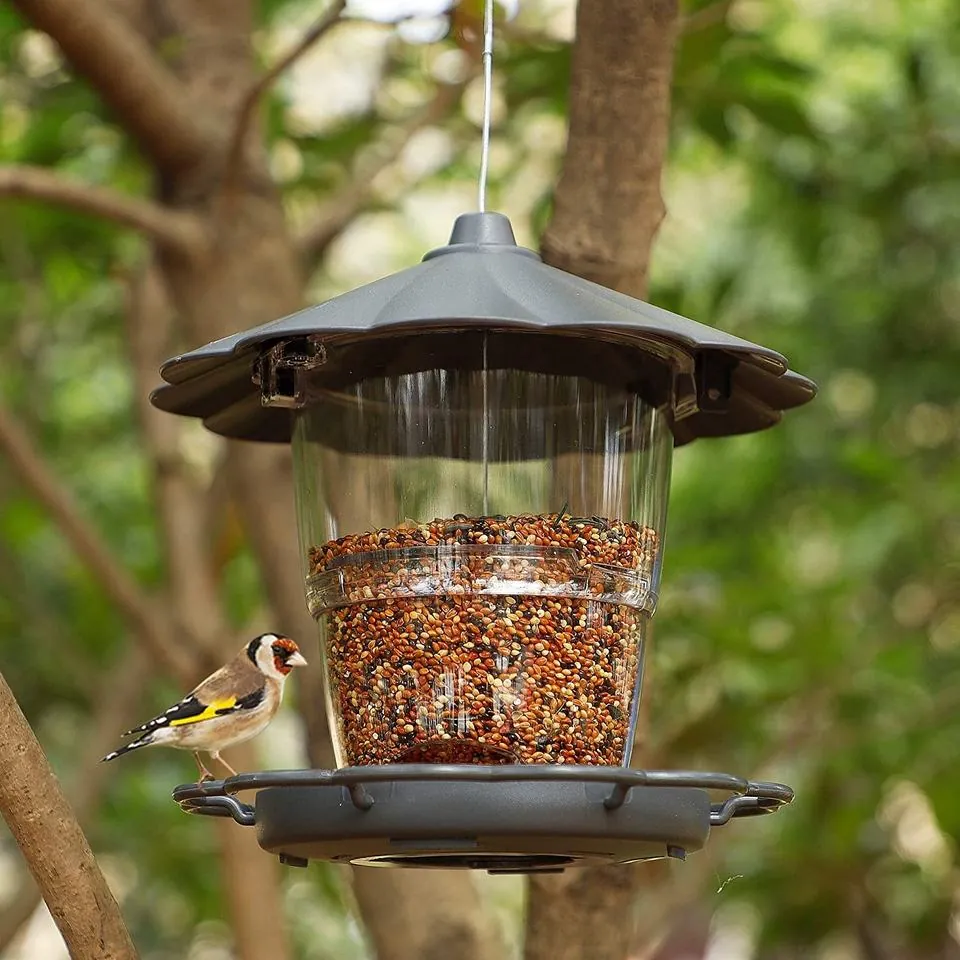 11 chinese bird feeder solar lights