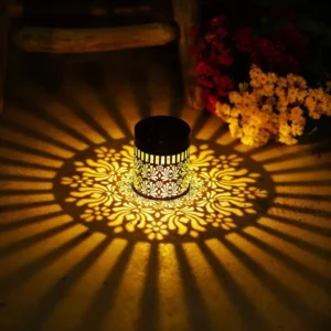 sm251108 iron+pp solar hollow out peony wall light (1)