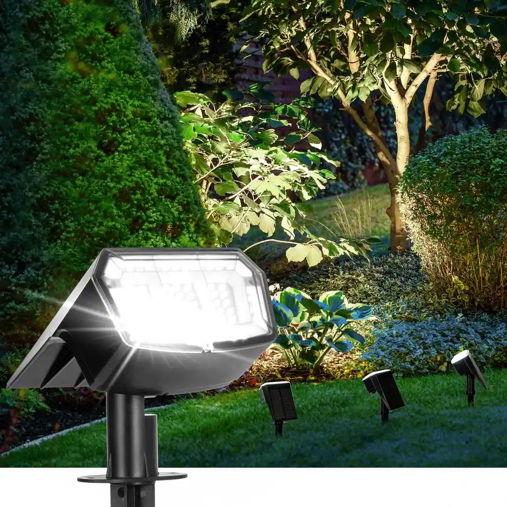 Solar Spotlights