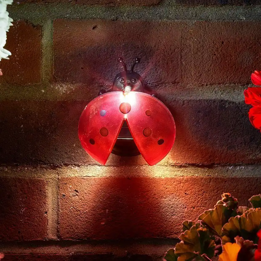 Ladybird Solar Lights