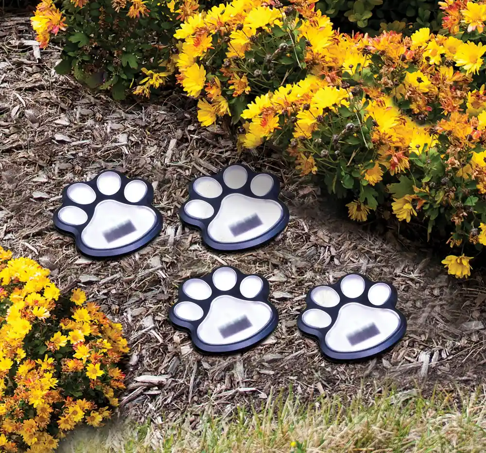 Paw Solar Lights