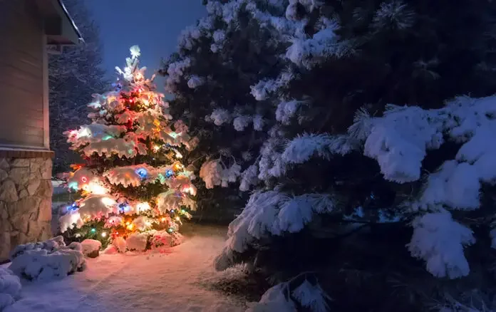 Christmas Tree Solar Lights