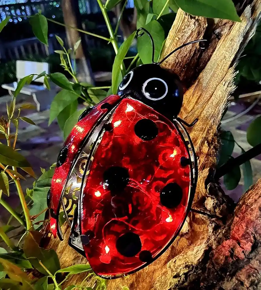 Ladybird Solar Lights