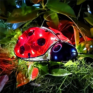 Ladybird Solar Lights