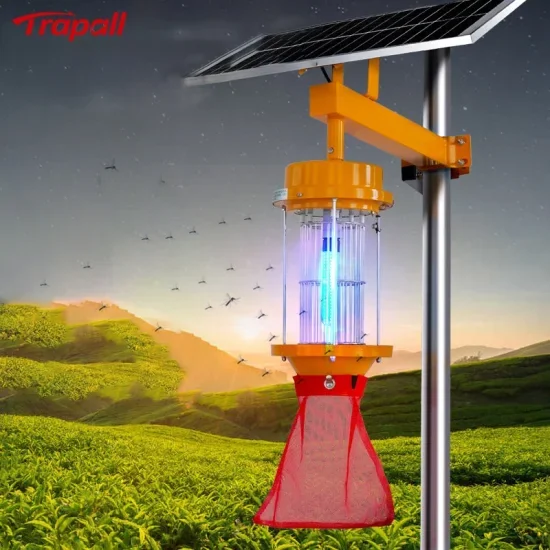 Mosquito Killer Solar Lights