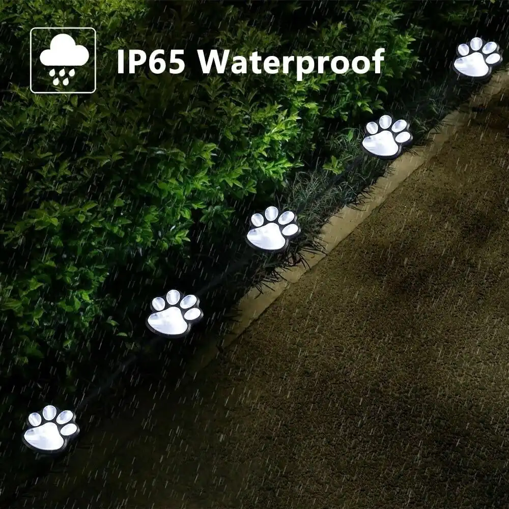 Paw Solar Lights