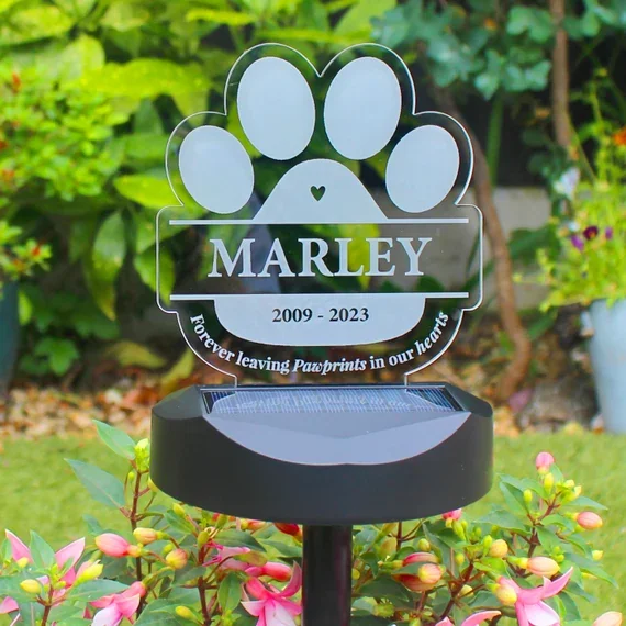Paw Solar Lights