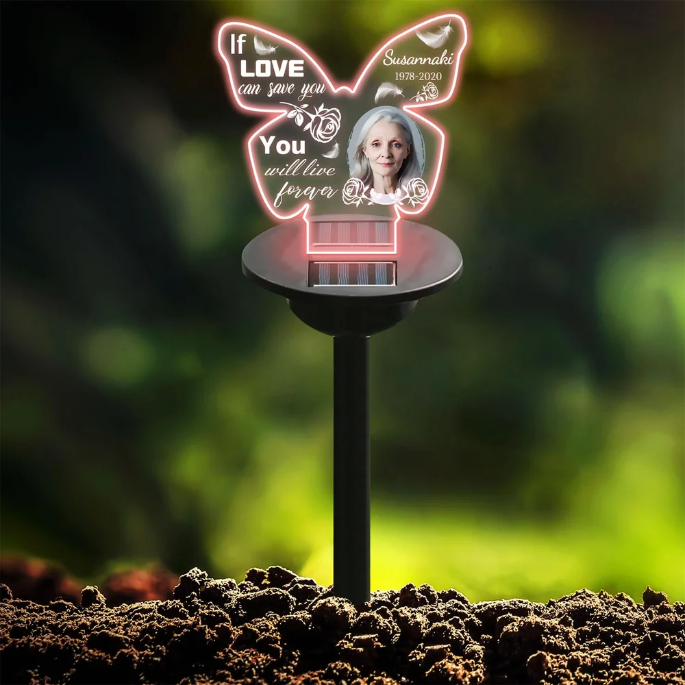 Plaque Solar Lights