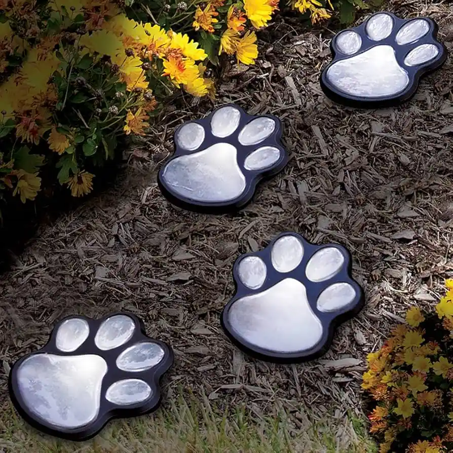 Paw Solar Lights