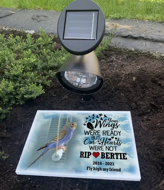 Plaque Solar Lights