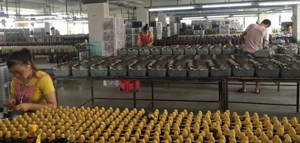 glowyard's manufacturing excellence for christmas solar light