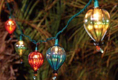1.multicolor backyard patio string lights with 10 bulbs